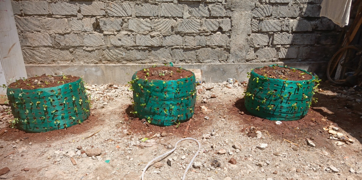 Vertical grow bags